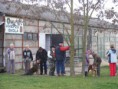 /album/kutyasuli-trening/dscf0233-jpg/