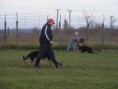 /album/kutyasuli-trening/dscf0235-jpg/