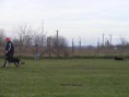 /album/kutyasuli-trening/dscf0236-jpg/