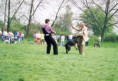 /album/ez-mar-tortenelem/scan20007-jpg/