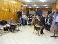 /album/i-bajai-kutyaiskola-bal-2015-03-07/dscf0533-jpg/