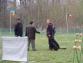 /album/szolnok-munkakutya-kvalifikacios-verseny-2015-03-28-29/dscf0737-jpg/