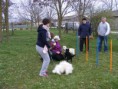 /album/husvet-az-iskolaban-2015-04-05/dscf0814-jpg/
