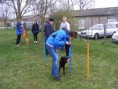 /album/husvet-az-iskolaban-2015-04-05/dscf0815-jpg/