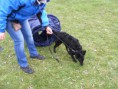 /album/husvet-az-iskolaban-2015-04-05/dscf0816-jpg/