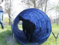 /album/husvet-az-iskolaban-2015-04-05/agility2-jpg/