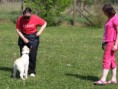 /album/ballago-csapattarsunk-koszontese-es-a-trening/dscf1123-jpg/