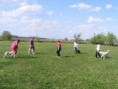 /album/ballago-csapattarsunk-koszontese-es-a-trening/dscf1147-jpg/