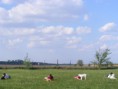 /album/ballago-csapattarsunk-koszontese-es-a-trening/dscf1151-jpg/