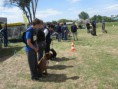 /album/a19-bende-kupa-2015-05-17/bende2-jpg/