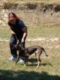 /album/szeminarium-dobovar-2015-07-11/dscf1639-jpg/
