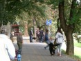 /album/vizsga/ptdc0144-jpg/