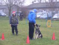 /album/mikulasnap-az-iskolaban-2015-12-06/dscf2714-jpg/